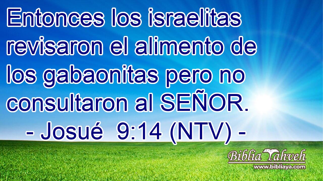 Entonces los israelitas revisaron el alimento de los gabaonitas pero no consultaron al SEÑOR.