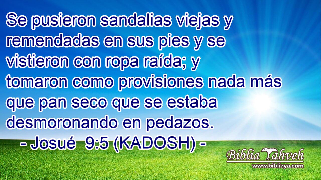  Se pusieron sandalias viejas y remendadas en sus pies y se vistieron con ropa raída; y tomaron como provisiones nada más que pan seco que se estaba desmoronando en pedazos. 