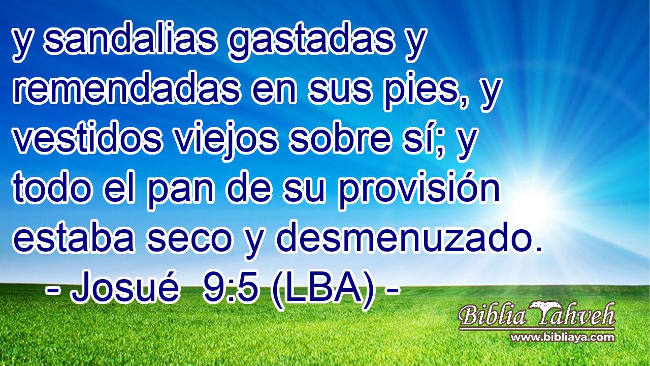 y sandalias gastadas y remendadas en sus pies, y vestidos viejos sobre sí; y todo el pan de su provisión estaba seco y desmenuzado.