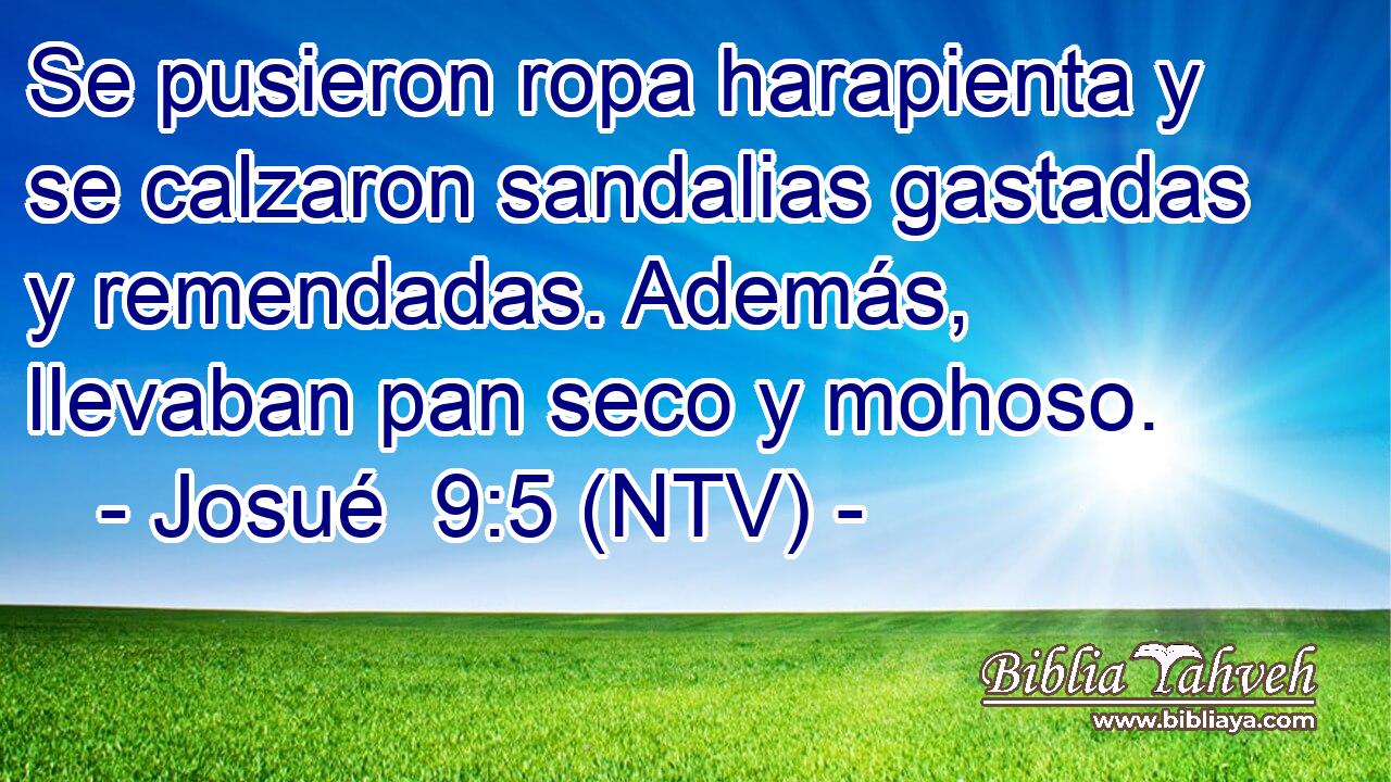 Se pusieron ropa harapienta y se calzaron sandalias gastadas y remendadas. Además, llevaban pan seco y mohoso.