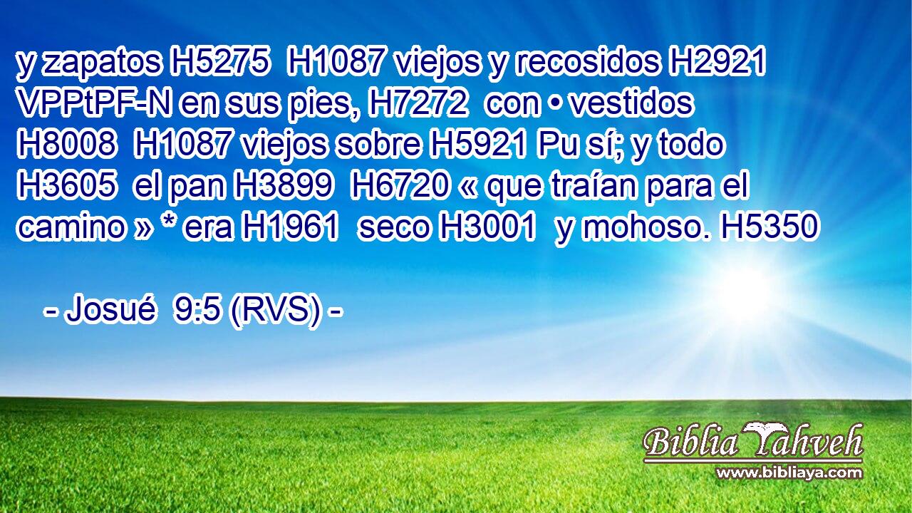 y zapatos H5275  H1087 viejos y recosidos H2921 VPPtPF-N en sus pies, H7272  con • vestidos H8008  H1087 viejos sobre H5921 Pu sí; y todo H3605  el pan H3899  H6720 « que traían para el camino » * era H1961  seco H3001  y mohoso. H5350  