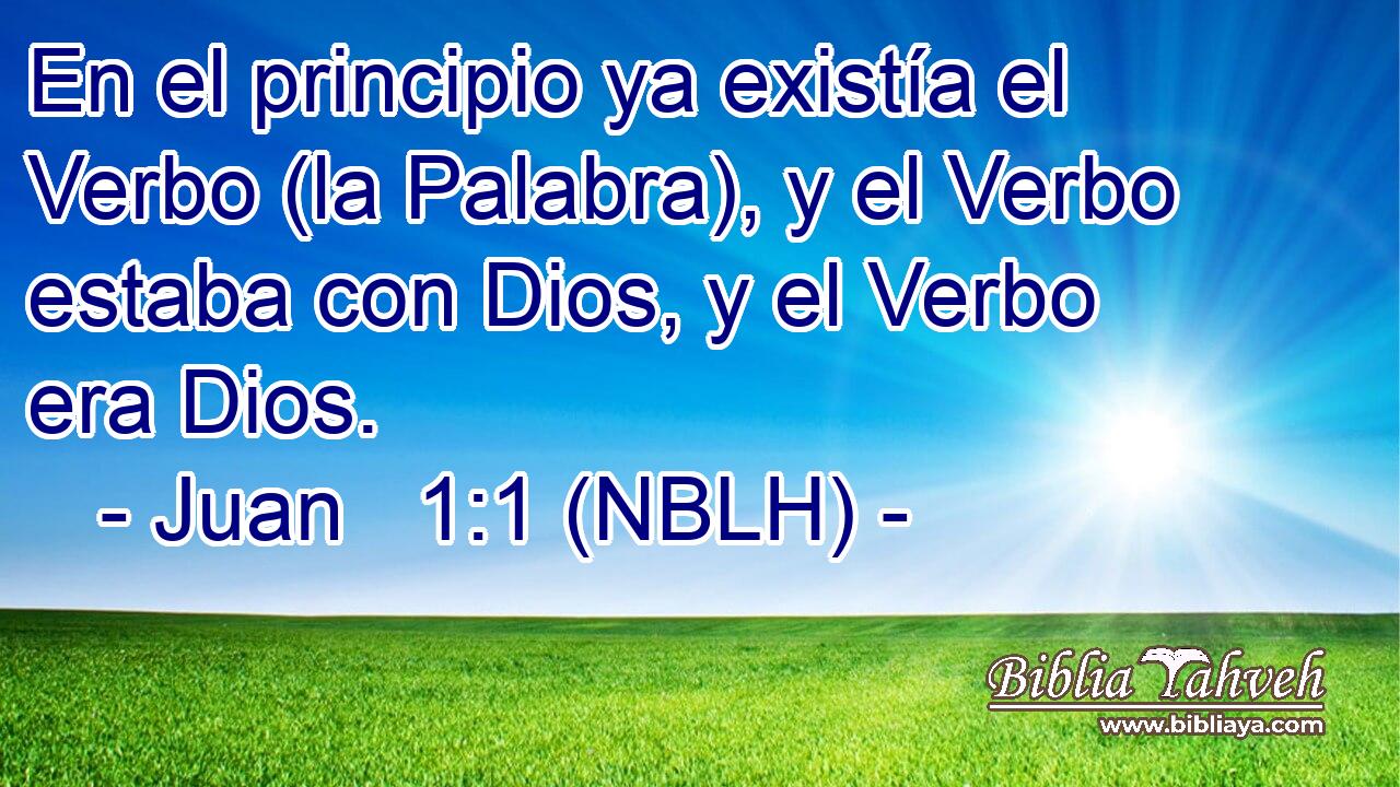  En el principio ya existía el Verbo (la Palabra), y el Verbo estaba con Dios, y el Verbo era Dios. 