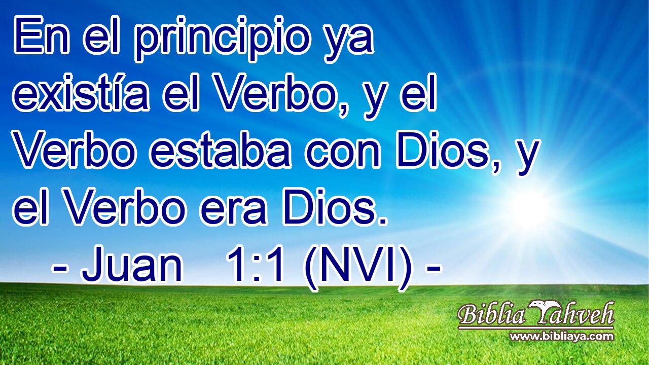  En el principio ya existía el Verbo, y el Verbo estaba con Dios, y el Verbo era Dios. 