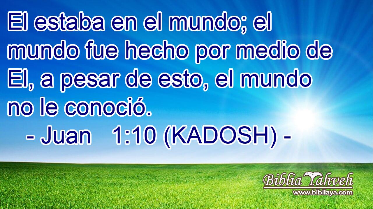  El estaba en el mundo; el mundo fue hecho por medio de El, a pesar de esto, el mundo no le conoció. 