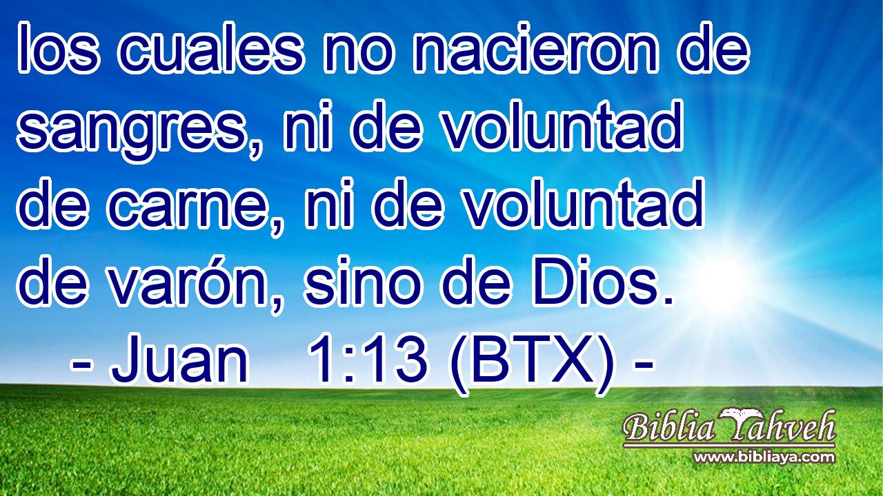 los cuales no nacieron de sangres, ni de voluntad de carne, ni de voluntad de varón, sino de Dios.