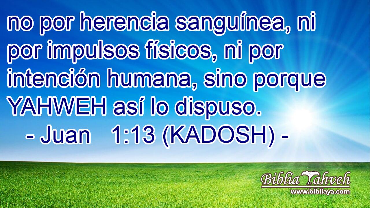  no por herencia sanguínea, ni por impulsos físicos, ni por intención humana, sino porque YAHWEH así lo dispuso. 