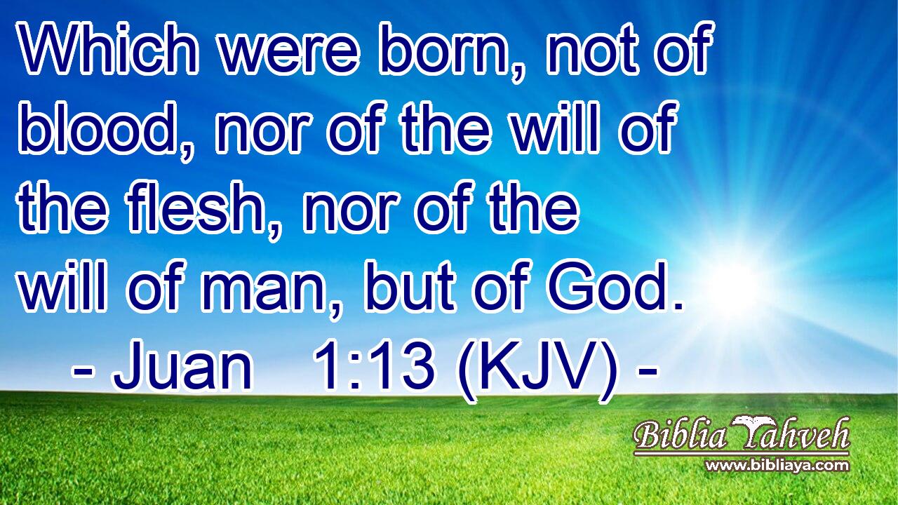 Which were born, not of blood, nor of the will of the flesh, nor of the will of man, but of God.