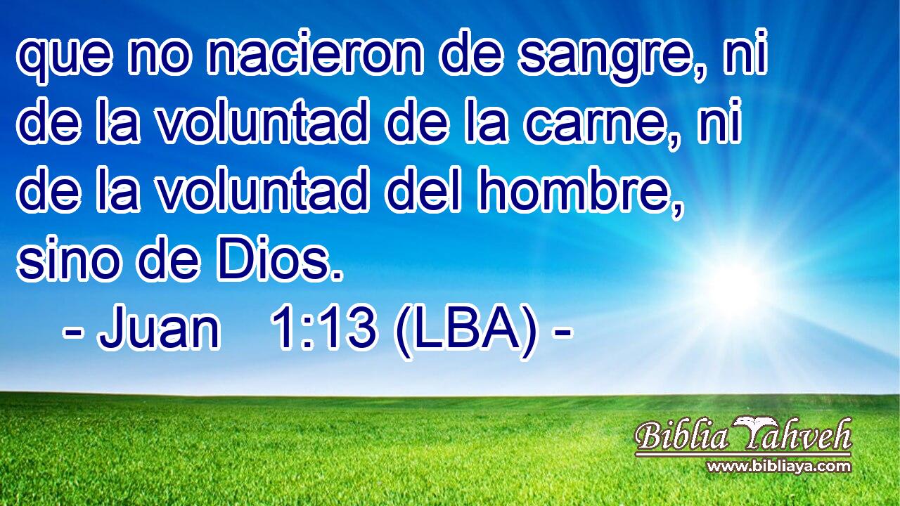 que no nacieron de sangre, ni de la voluntad de la carne, ni de la voluntad del hombre, sino de Dios.