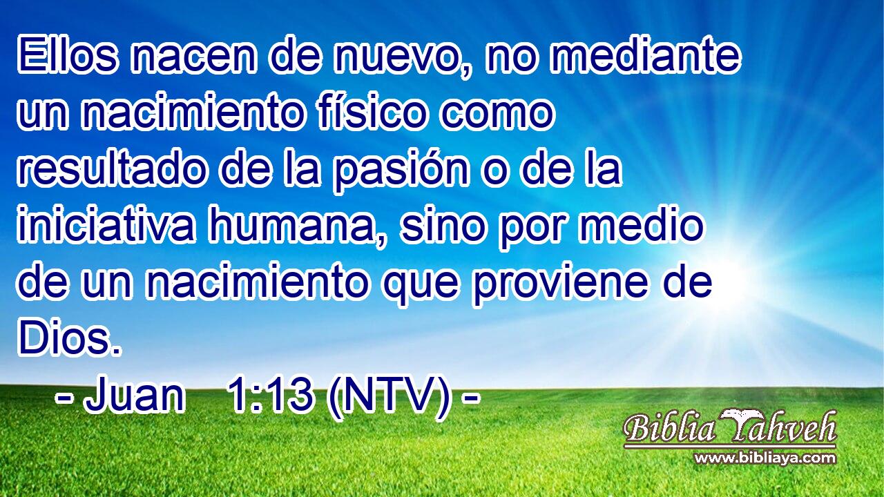 Ellos nacen de nuevo, no mediante un nacimiento físico como resultado de la pasión o de la iniciativa humana, sino por medio de un nacimiento que proviene de Dios.