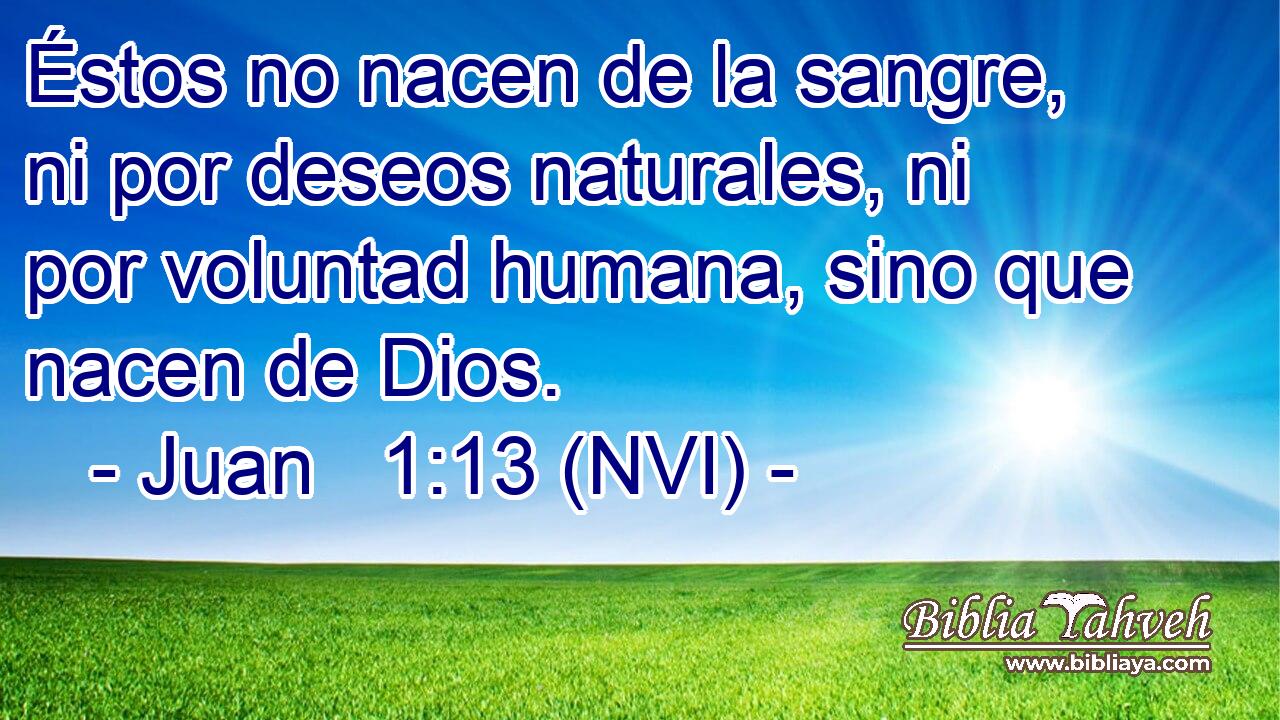  Éstos no nacen de la sangre, ni por deseos naturales, ni por voluntad humana, sino que nacen de Dios. 
