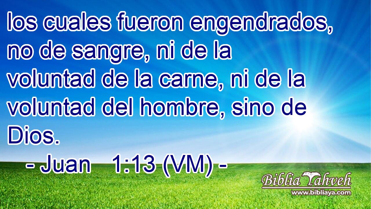  los cuales fueron engendrados, no de sangre, ni de la voluntad de la carne, ni de la voluntad del hombre, sino de Dios. 