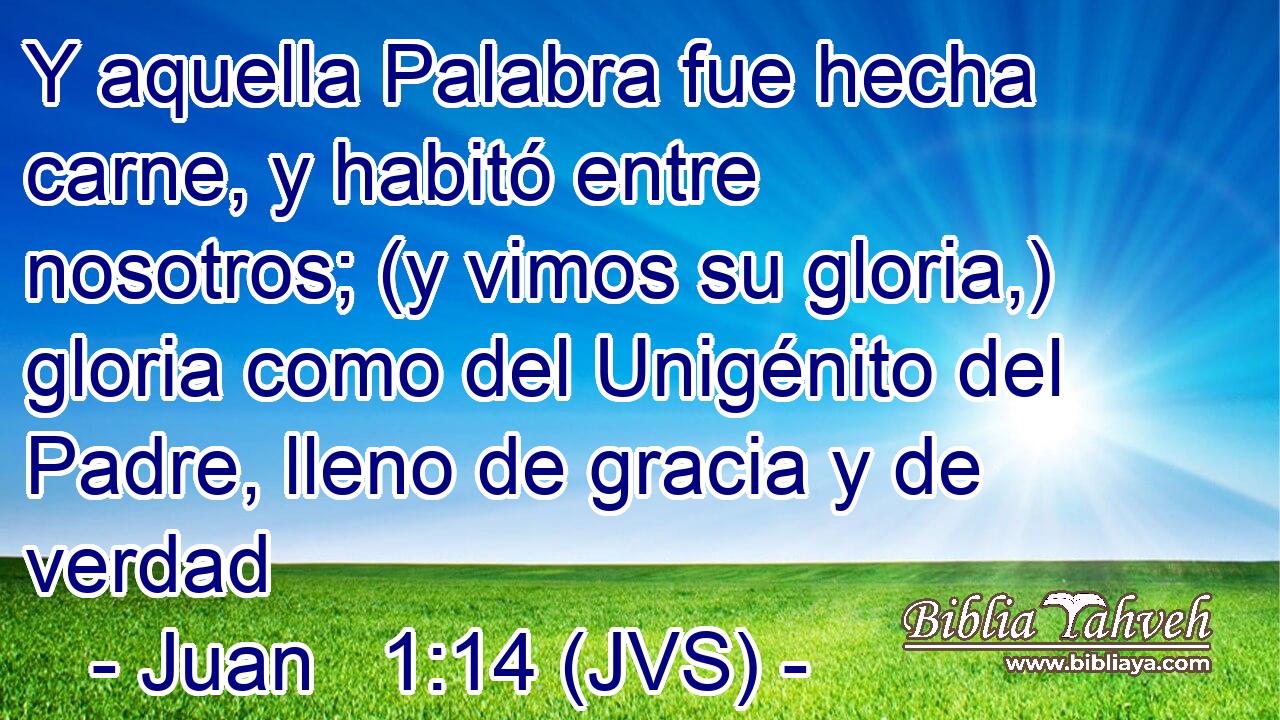 Y aquella Palabra fue hecha carne, y habitó entre nosotros; (y vimos su gloria,) gloria como del Unigénito del Padre, lleno de gracia y de verdad