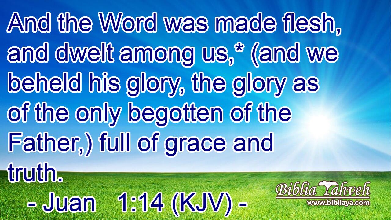 And the Word was made flesh, and dwelt among us,* (and we beheld his glory, the glory as of the only begotten of the Father,) full of grace and truth.