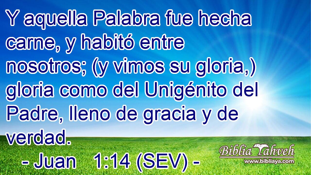 Y aquella Palabra fue hecha carne, y habitó entre nosotros; (y vimos su gloria,) gloria como del Unigénito del Padre, lleno de gracia y de verdad.