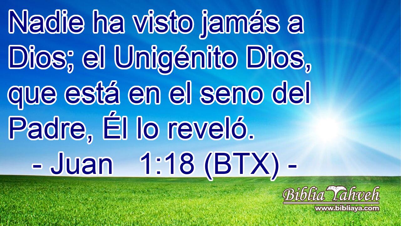Nadie ha visto jamás a Dios; el Unigénito Dios, que está en el seno del Padre, Él lo reveló.