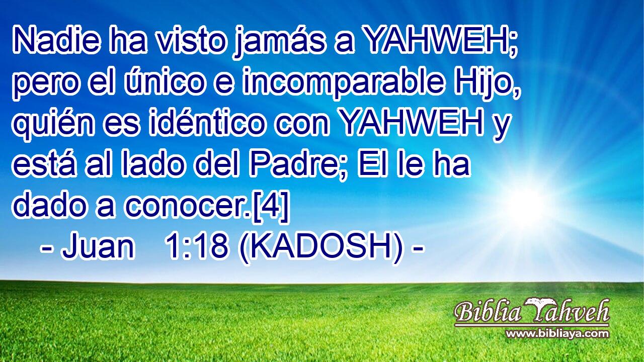  Nadie ha visto jamás a YAHWEH; pero el único e incomparable Hijo, quién es idéntico con YAHWEH y está al lado del Padre; El le ha dado a conocer.[4] 
