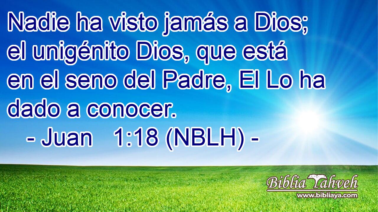  Nadie ha visto jamás a Dios; el unigénito Dios, que está en el seno del Padre, El Lo ha dado a conocer. 