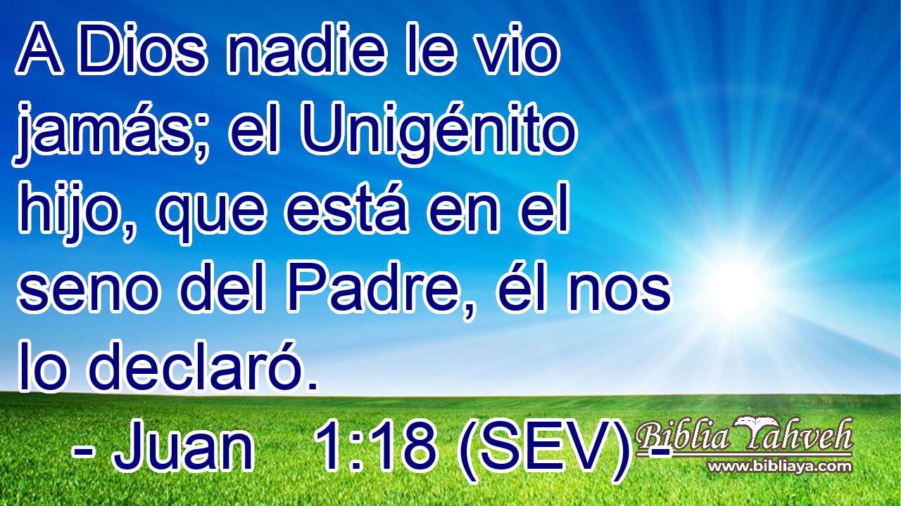 A Dios nadie le vio jamás; el Unigénito hijo, que está en el seno del Padre, él nos lo declaró.