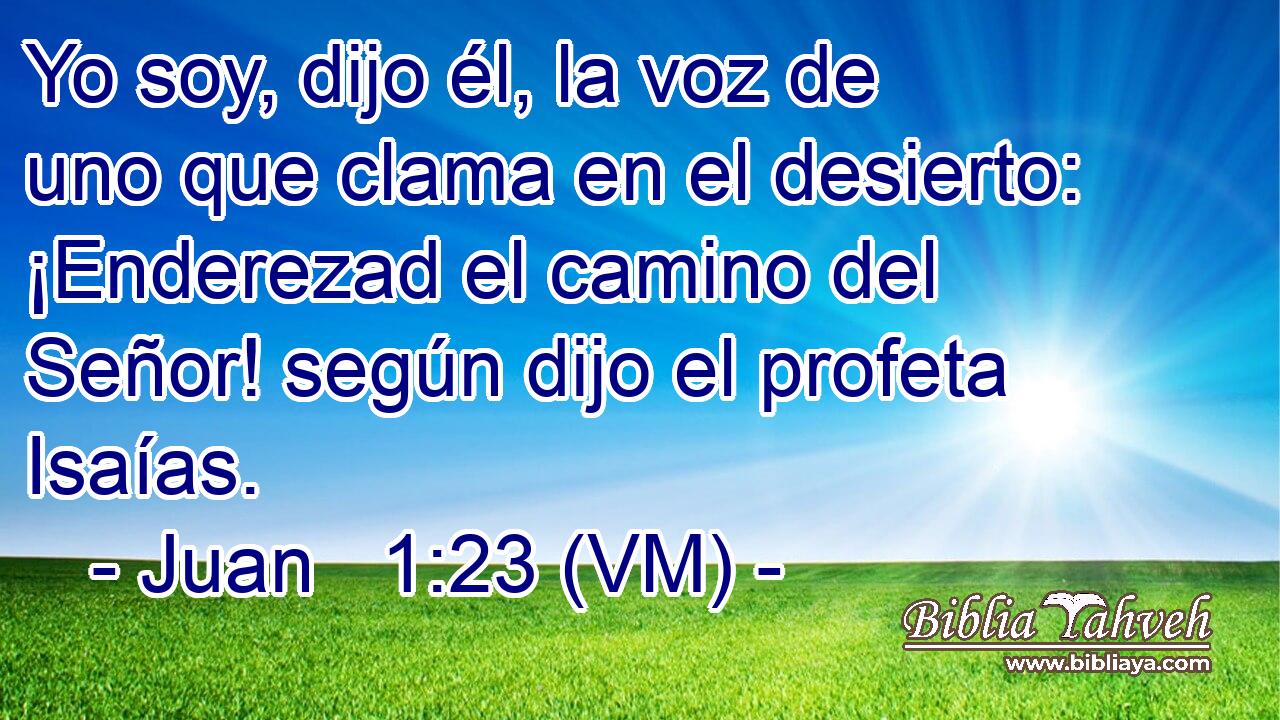  Yo soy, dijo él, la voz de uno que clama en el desierto: ¡Enderezad el camino del Señor! según dijo el profeta Isaías. 