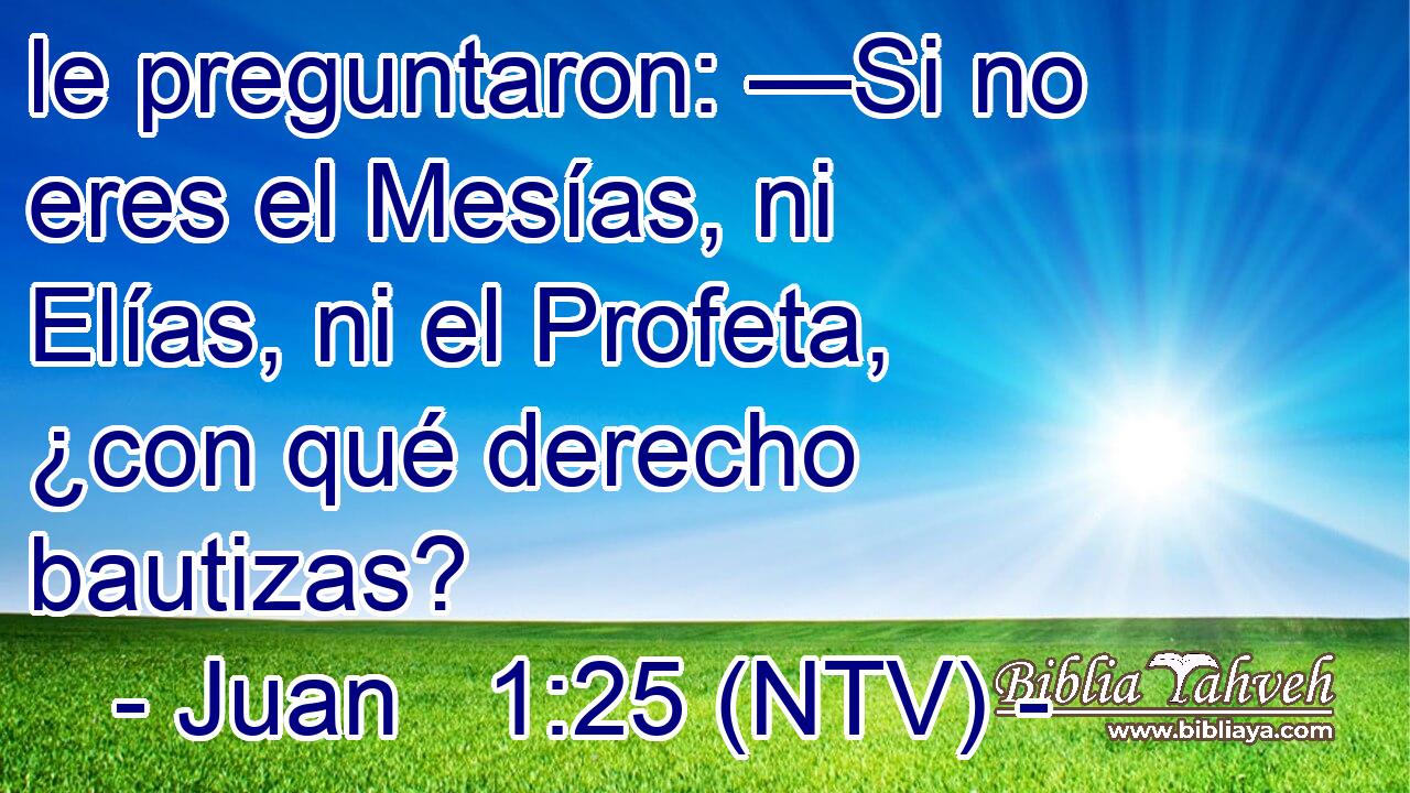 le preguntaron: —Si no eres el Mesías, ni Elías, ni el Profeta, ¿con qué derecho bautizas?