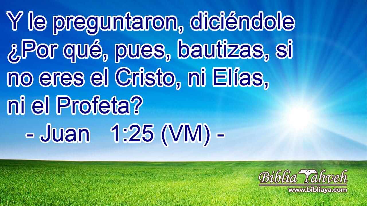  Y le preguntaron, diciéndole ¿Por qué, pues, bautizas, si no eres el Cristo, ni Elías, ni el Profeta? 