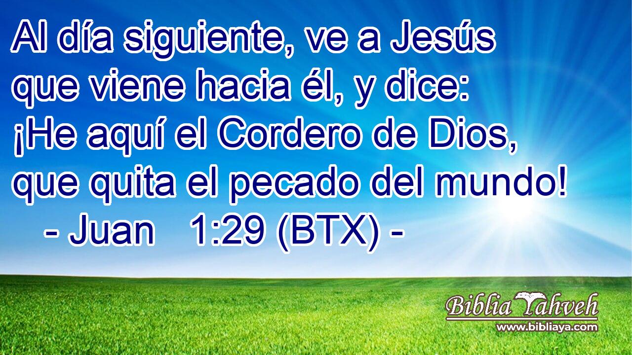 Al día siguiente, ve a Jesús que viene hacia él, y dice: ¡He aquí el Cordero de Dios, que quita el pecado del mundo!
