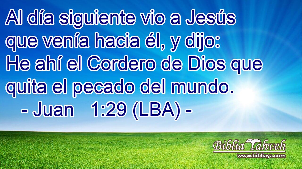 Al día siguiente vio a Jesús que venía hacia él, y dijo: He ahí el Cordero de Dios que quita el pecado del mundo.