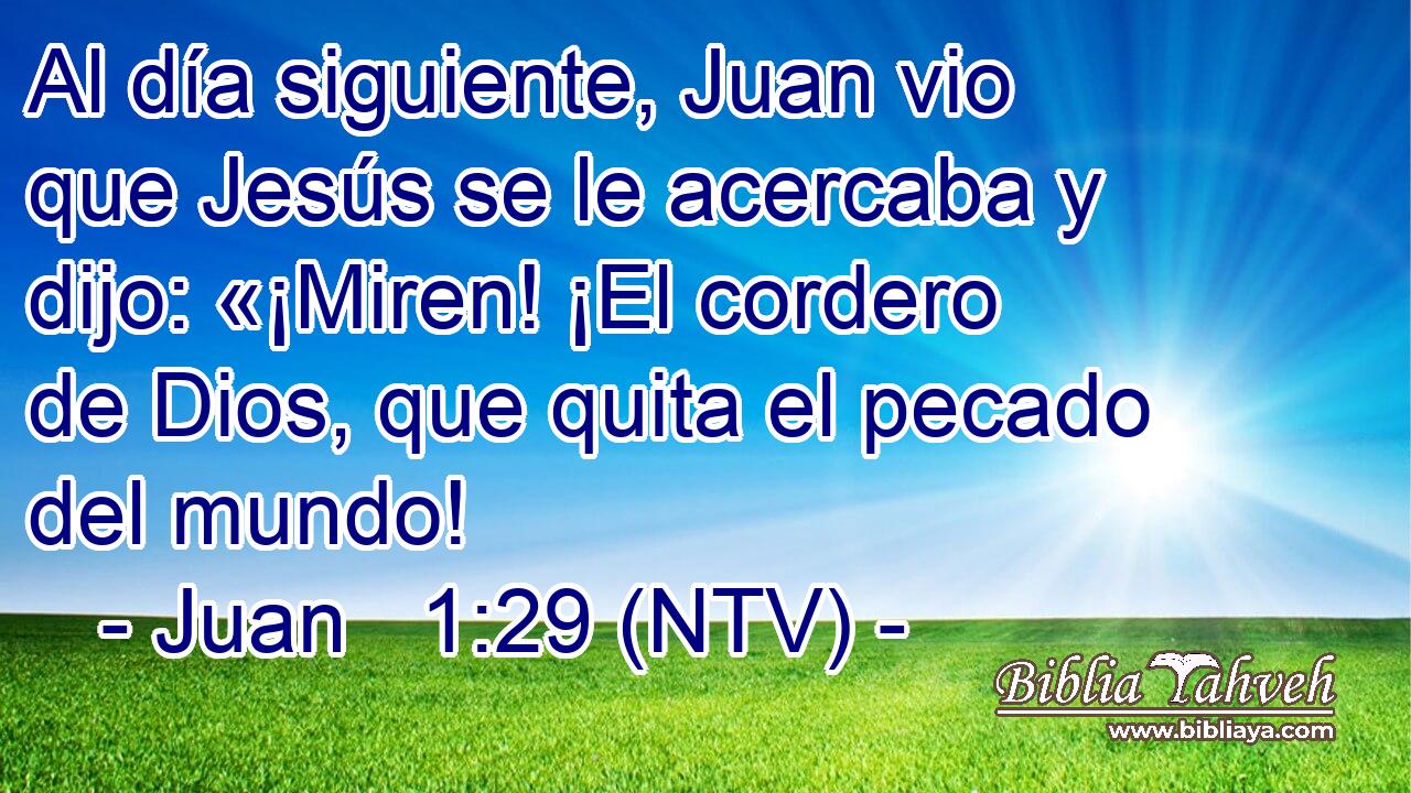 Al día siguiente, Juan vio que Jesús se le acercaba y dijo: «¡Miren! ¡El cordero de Dios, que quita el pecado del mundo!