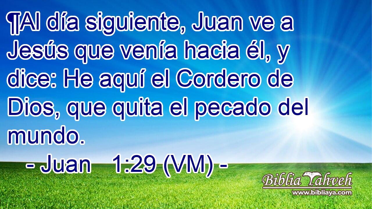  ¶Al día siguiente, Juan ve a Jesús que venía hacia él, y dice: He aquí el Cordero de Dios, que quita el pecado del mundo. 