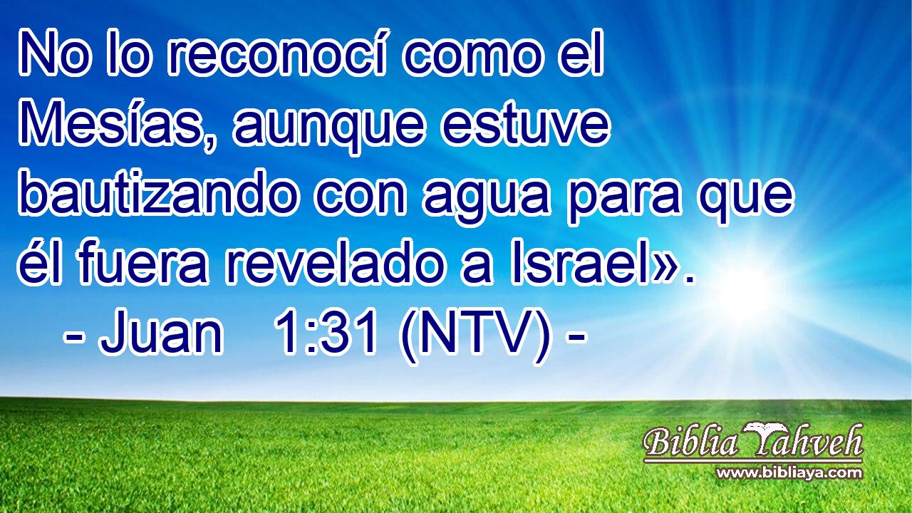 No lo reconocí como el Mesías, aunque estuve bautizando con agua para que él fuera revelado a Israel».