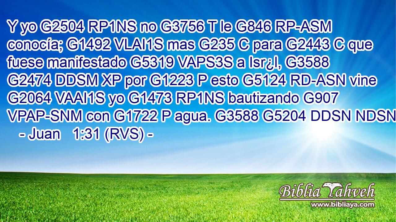 Y yo G2504 RP1NS no G3756 T le G846 RP-ASM conocía; G1492 VLAI1S mas G235 C para G2443 C que fuese manifestado G5319 VAPS3S a Isr¿l, G3588 G2474 DDSM XP por G1223 P esto G5124 RD-ASN vine G2064 VAAI1S yo G1473 RP1NS bautizando G907 VPAP-SNM con G1722 P agua. G3588 G5204 DDSN NDSN 