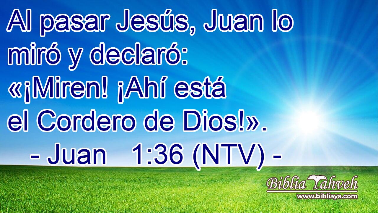 Al pasar Jesús, Juan lo miró y declaró: «¡Miren! ¡Ahí está el Cordero de Dios!».