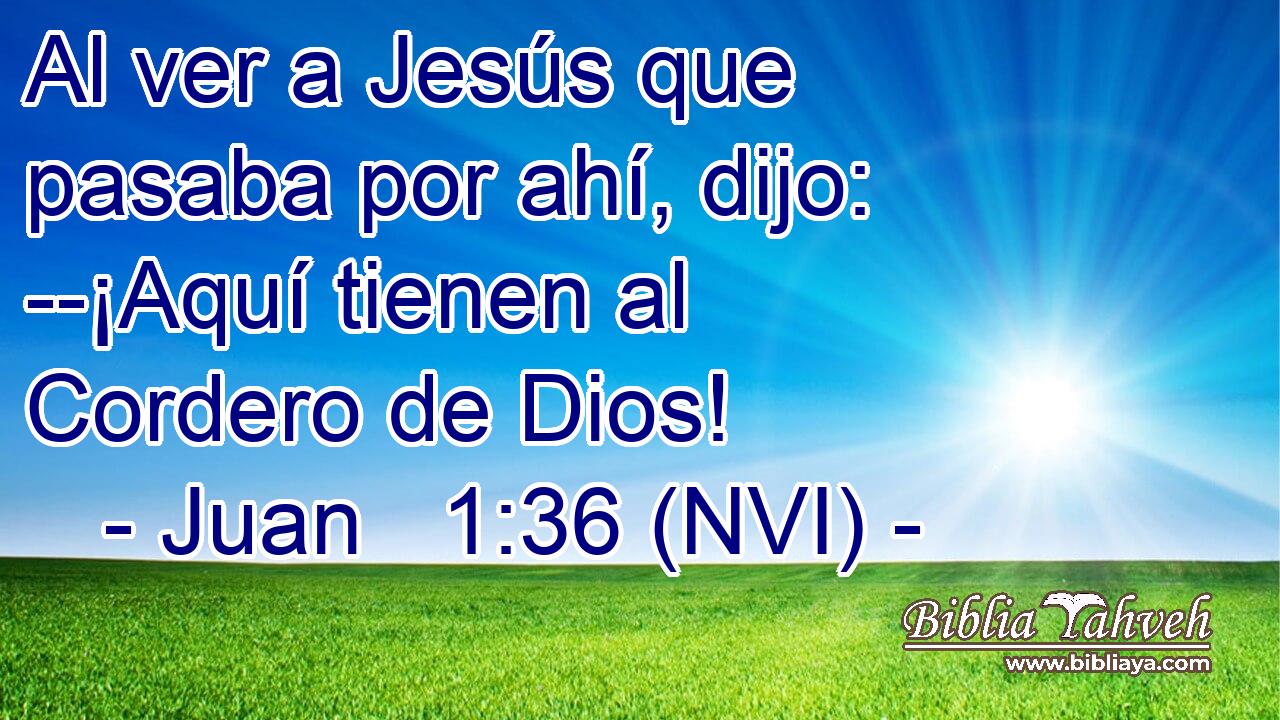  Al ver a Jesús que pasaba por ahí, dijo: --¡Aquí tienen al Cordero de Dios! 