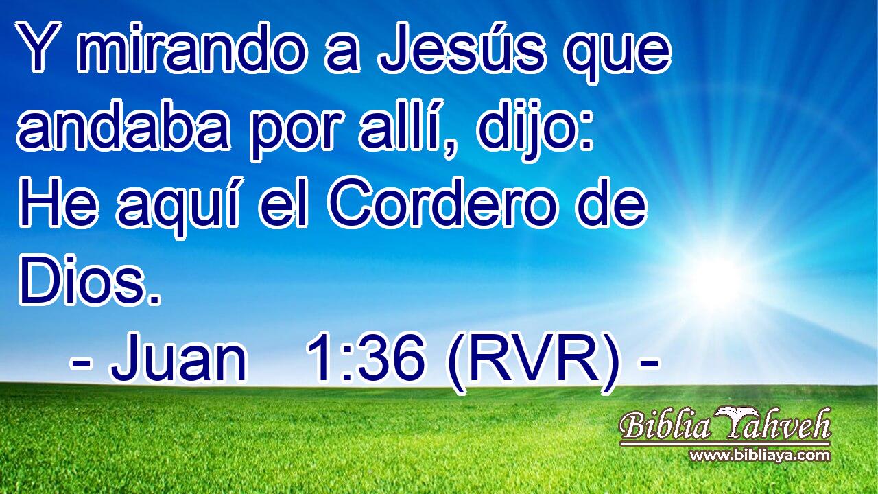Y mirando a Jesús que andaba por allí, dijo: He aquí el Cordero de Dios.
