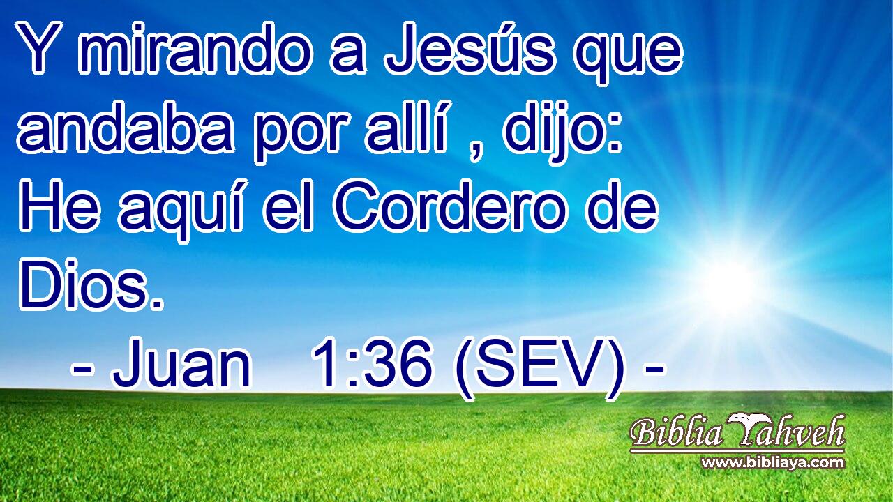 Y mirando a Jesús que andaba por allí , dijo: He aquí el Cordero de Dios.