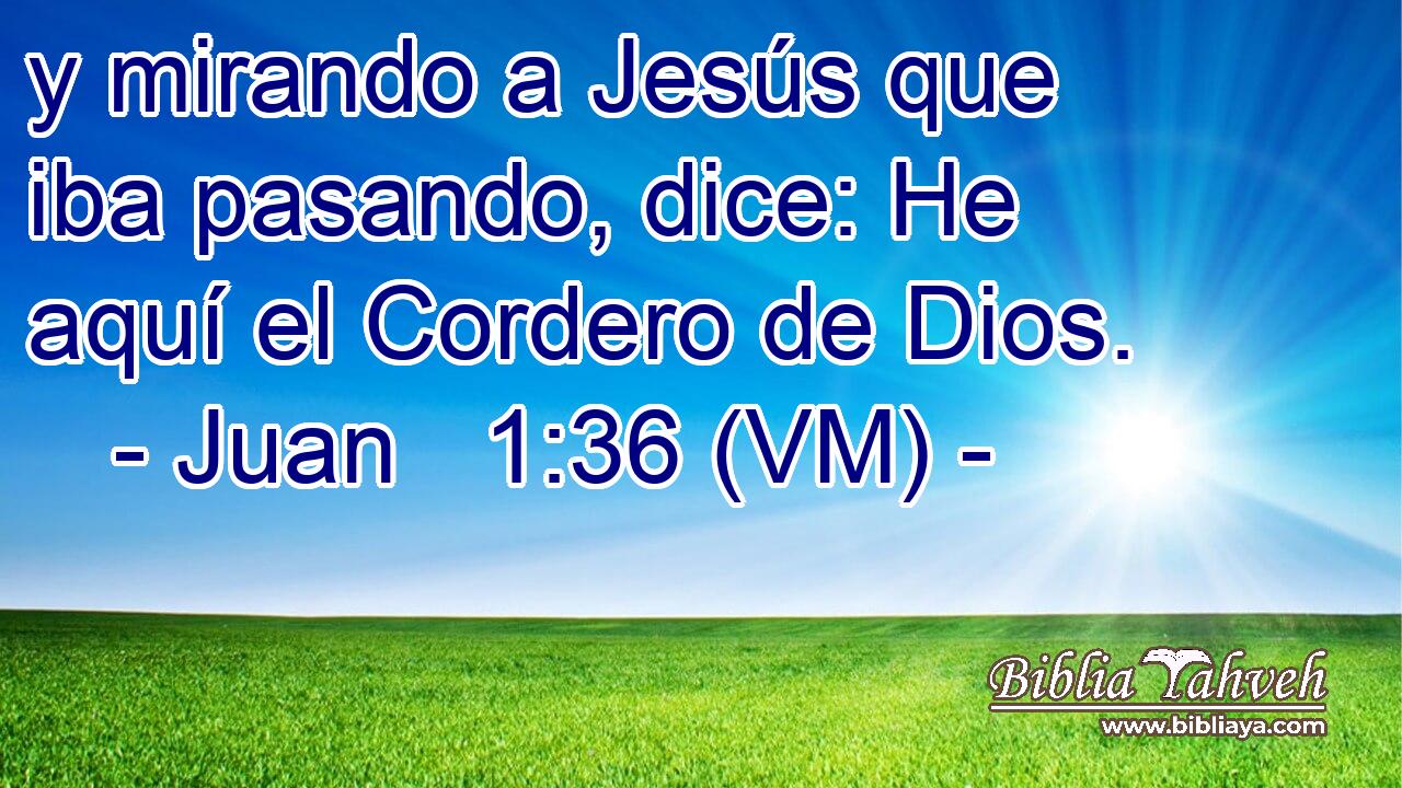  y mirando a Jesús que iba pasando, dice: He aquí el Cordero de Dios. 