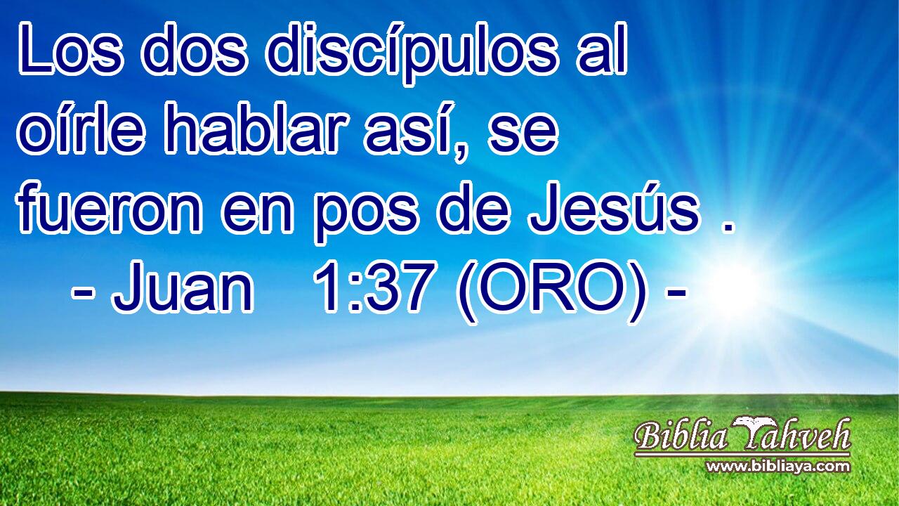  Los dos discípulos al oírle hablar así, se fueron en pos de Jesús . 