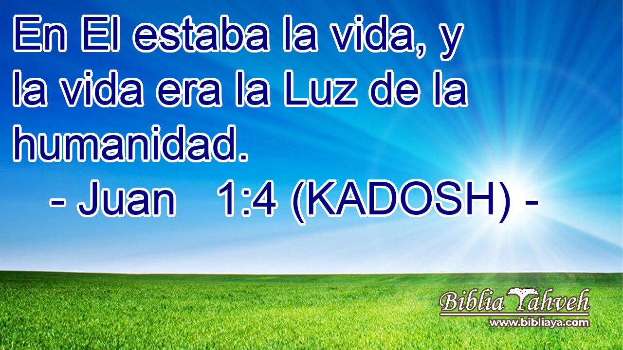  En El estaba la vida, y la vida era la Luz de la humanidad. 