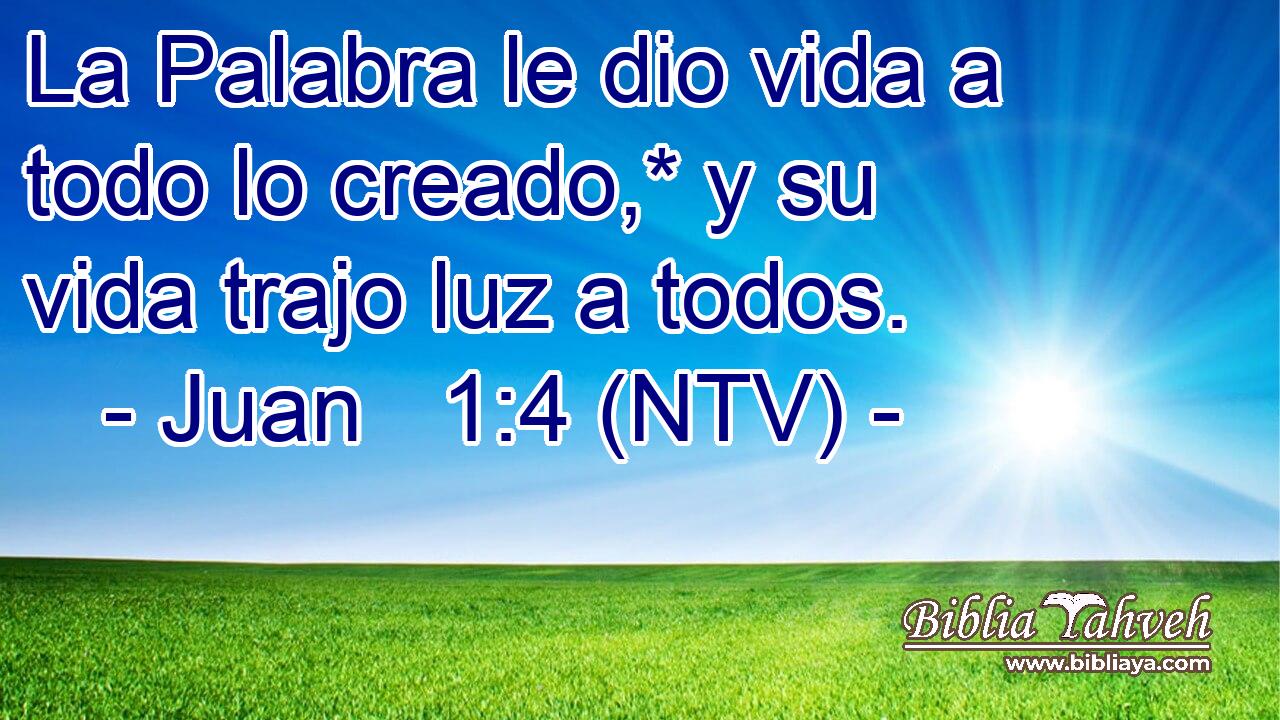 La Palabra le dio vida a todo lo creado,* y su vida trajo luz a todos.