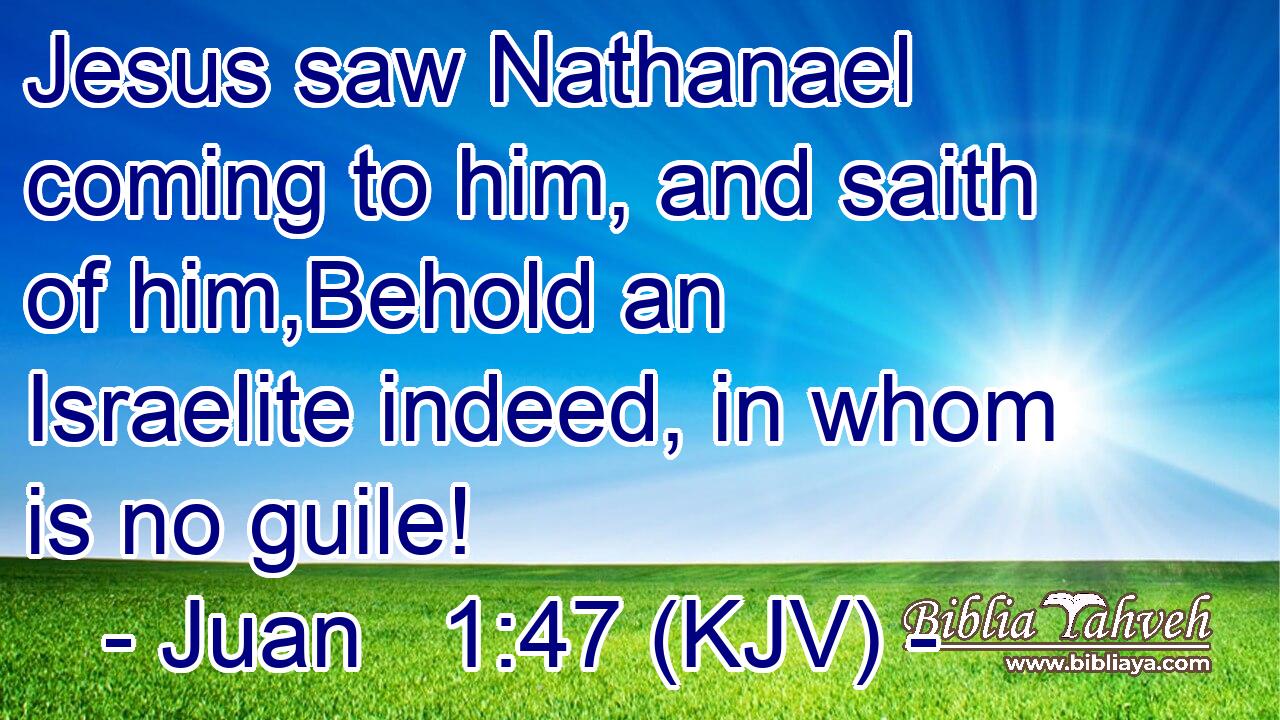 Jesus saw Nathanael coming to him, and saith of him,Behold an Israelite indeed, in whom is no guile!