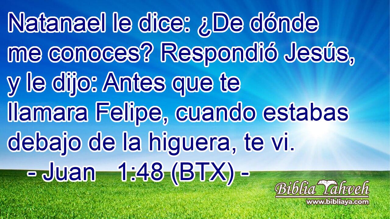 Natanael le dice: ¿De dónde me conoces? Respondió Jesús, y le dijo: Antes que te llamara Felipe, cuando estabas debajo de la higuera, te vi.