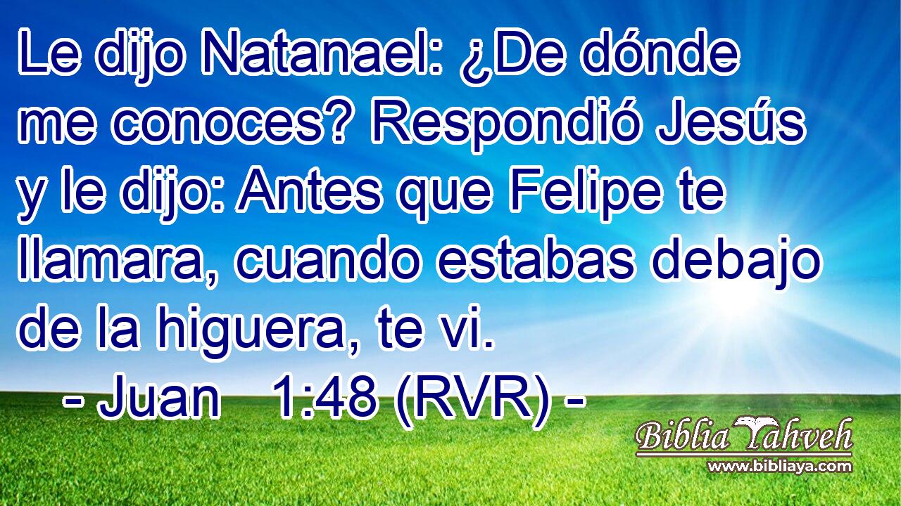 Le dijo Natanael: ¿De dónde me conoces? Respondió Jesús y le dijo: Antes que Felipe te llamara, cuando estabas debajo de la higuera, te vi.