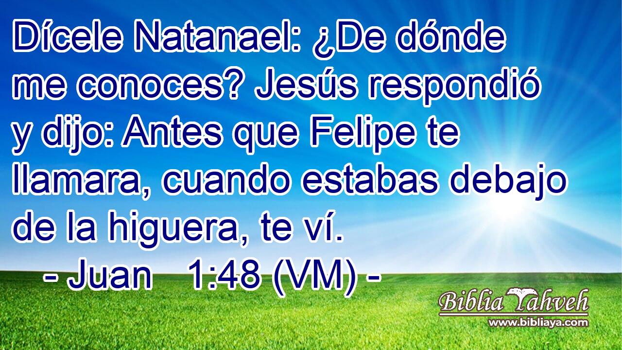  Dícele Natanael: ¿De dónde me conoces? Jesús respondió y dijo: Antes que Felipe te llamara, cuando estabas debajo de la higuera, te ví. 