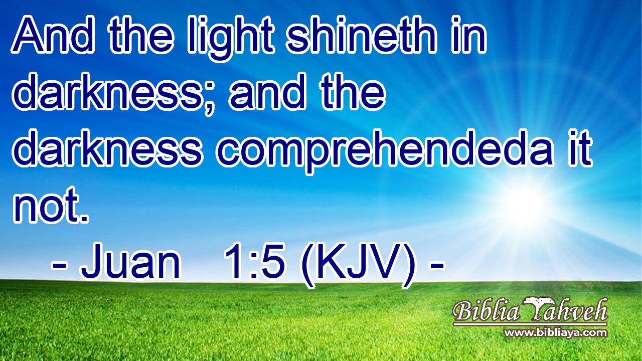 And the light shineth in darkness; and the darkness comprehendeda it not.