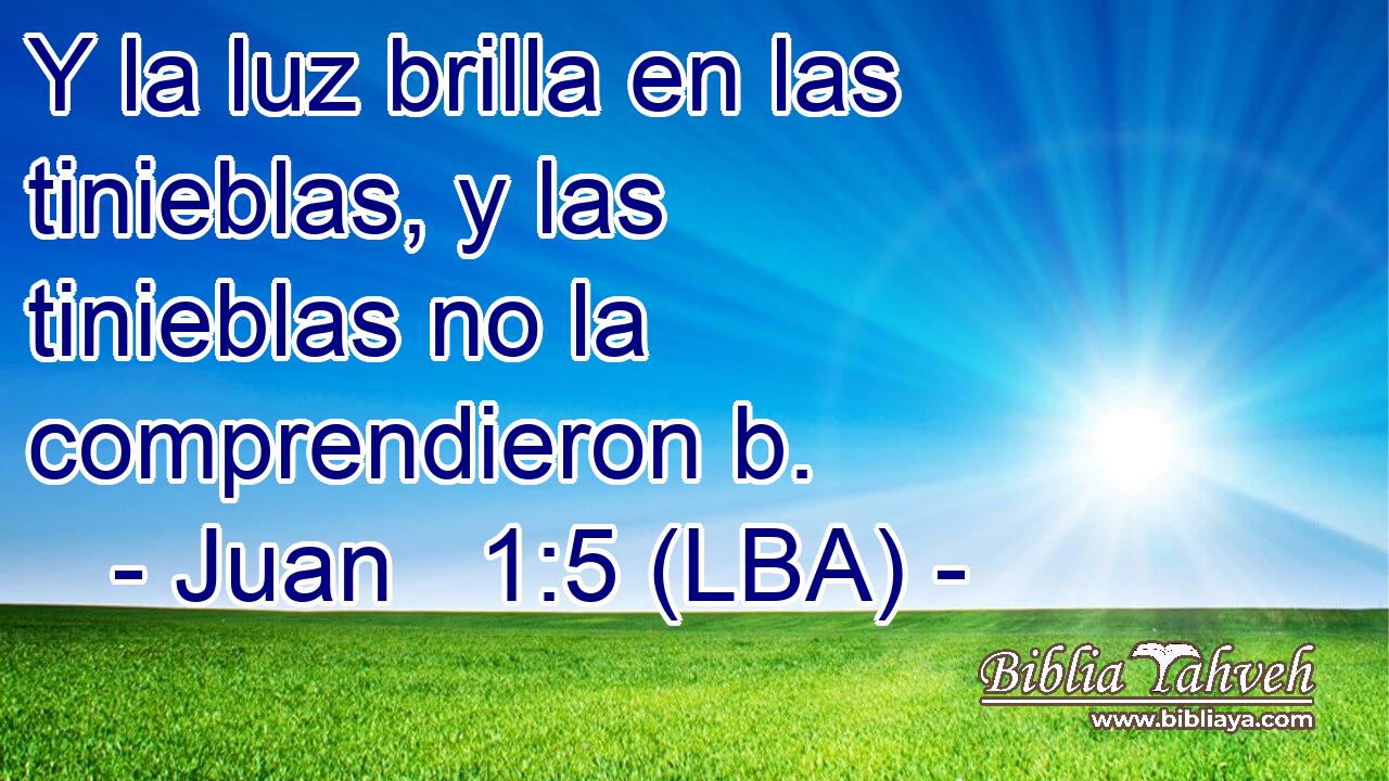 Y la luz brilla en las tinieblas, y las tinieblas no la comprendieron b.