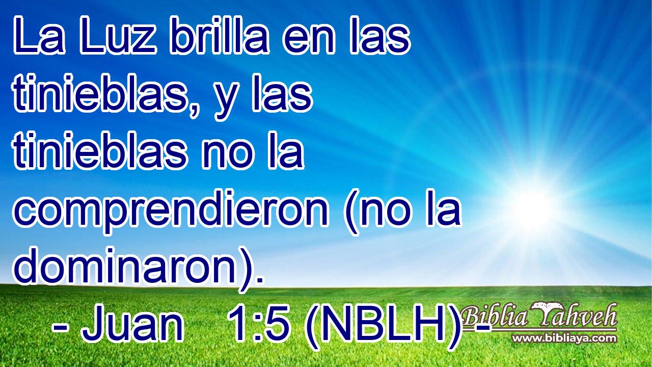  La Luz brilla en las tinieblas, y las tinieblas no la comprendieron (no la dominaron). 