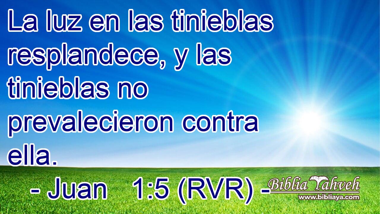 La luz en las tinieblas resplandece, y las tinieblas no prevalecieron contra ella.