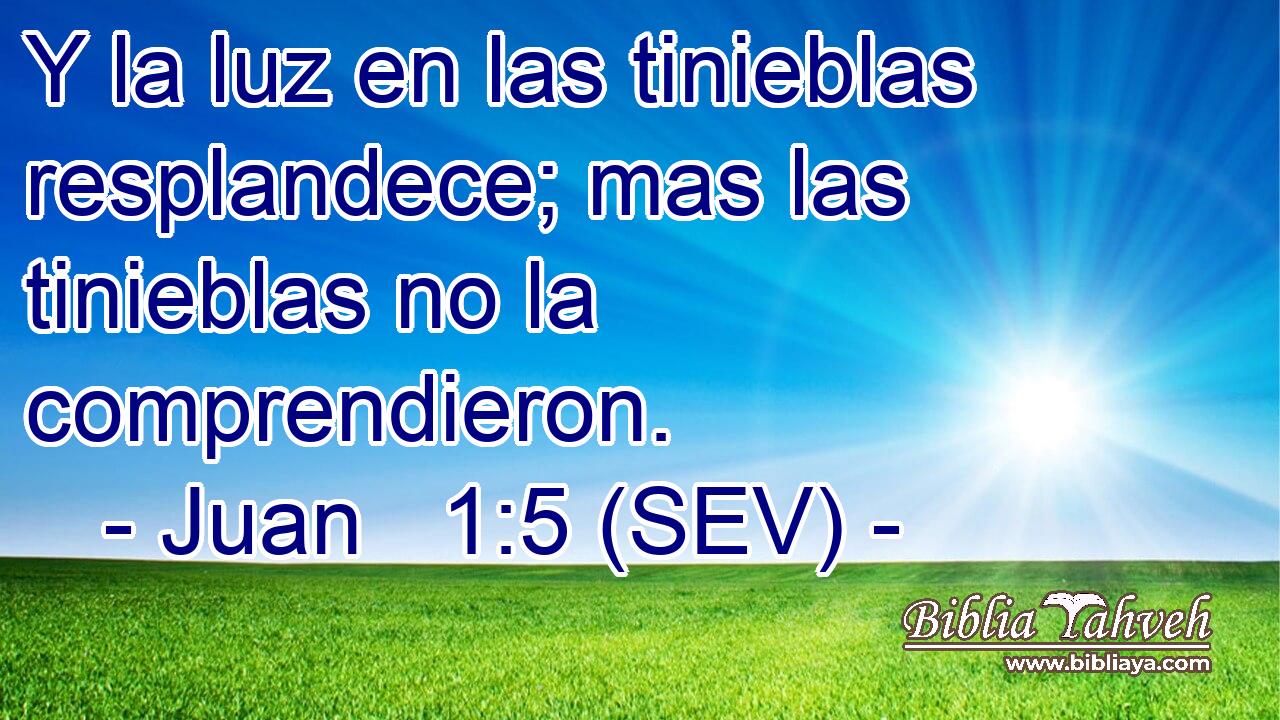 Y la luz en las tinieblas resplandece; mas las tinieblas no la comprendieron.