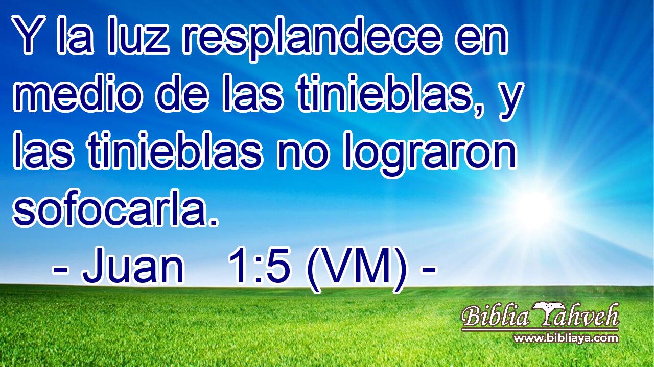  Y la luz resplandece en medio de las tinieblas, y las tinieblas no lograron sofocarla. 