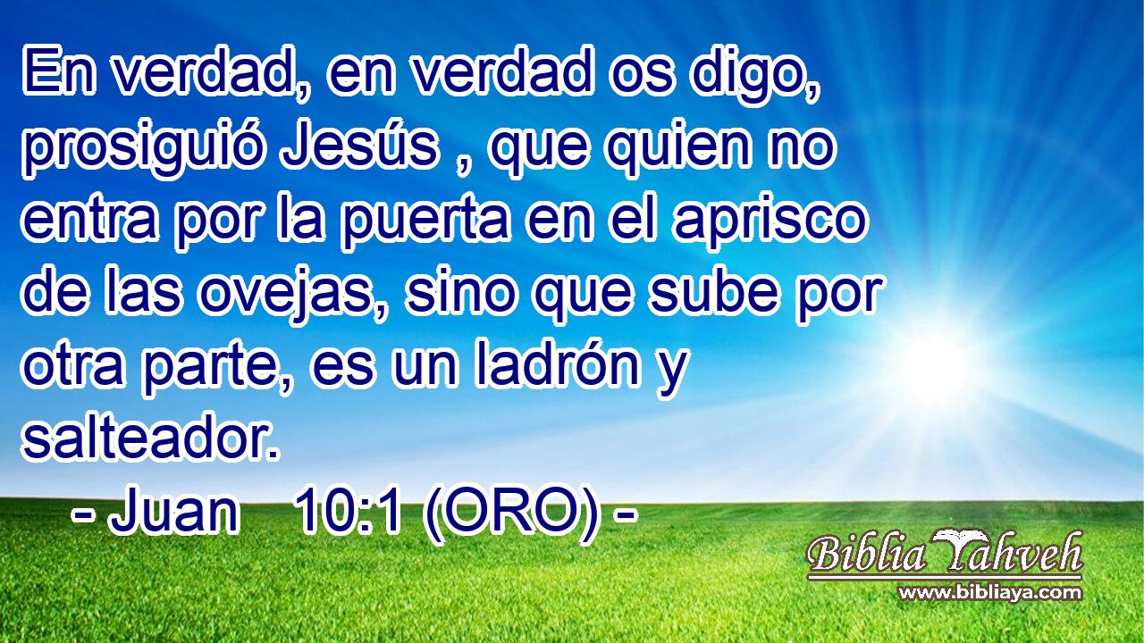  En verdad, en verdad os digo, prosiguió Jesús , que quien no entra por la puerta en el aprisco de las ovejas, sino que sube por otra parte, es un ladrón y salteador. 